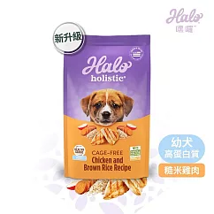 HALO 嘿囉 無穀 幼犬/小型成犬/熟齡犬 雞肉 3.5磅 全鮮肉 犬飼料 高消化力 ─ 58103幼犬雞肉3.5磅