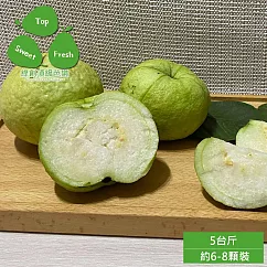 預購【綠創頂級芭樂】高雄大樹-水蜜芭樂5台斤x1箱(約6-8顆_100%友善耕種_產地直送)_冷藏宅配