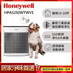 美國Honeywell 淨味空氣清淨機 HPA5250WTWV1 (適用10-20坪|小淨)