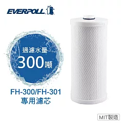 【EVERPOLL】全戶濾淨雙效濾芯FH-030(FH-300/301專用濾芯)