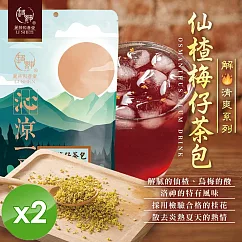 【麗紳和春堂】仙楂梅仔茶包(6gx20入/袋)x2袋