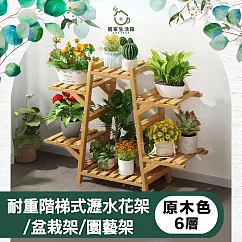 【儀家生活館】清新耐重階梯式瀝水花架/盆栽架/園藝架 原木色6層