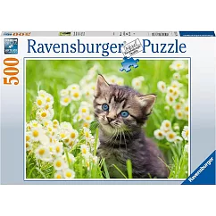 德國Ravensburger維寶拼圖 貓咪與花 (500P)