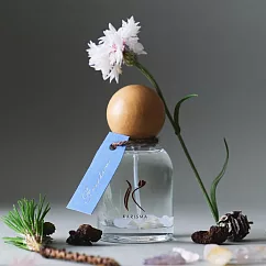 09|FREEDOM 翩然 花精香氛噴霧-大(100ml)包裝隨機出貨