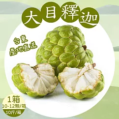 【禾鴻】台東優質大目釋迦10斤x1箱(10-12顆/箱_中果) 下單7個工作天內出貨