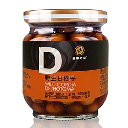 博客來 喜樂之泉 野生甘樹子