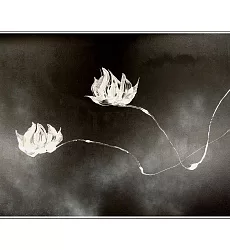 【玲廊滿藝】馬靜志 Ching Ma-玉蓮雙飛不染塵70x100cm