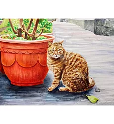 【玲廊滿藝】芒現-猴硐的貓29.7x42cm