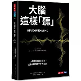 大腦這樣「聽」：大腦如何處理聲音，並影響你對世界的認識