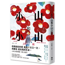 在小山和小山之間：故事大爆炸年度首獎之作