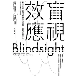 盲視效應 (電子書)