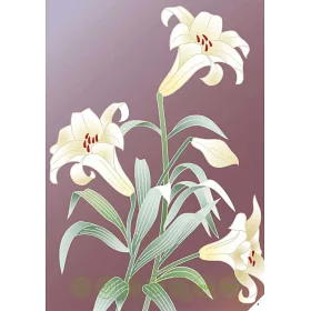 博客來 日本傳統文樣 花鳥風月250