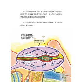 博客來 資優科普王 人體消化系統先學先贏 進入國中理科課程的第一本書