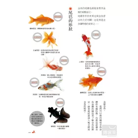 博客來 金魚要這樣養