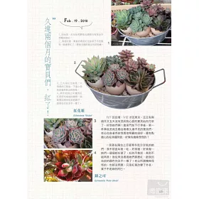 博客來 希莉安の東京多肉植物日記