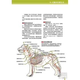 博客來 犬學大百科 圖解完整版 一看就懂 終身受用的狗狗基礎科學