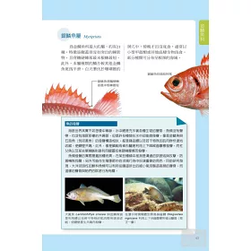 博客來 臺灣珊瑚礁魚圖鑑