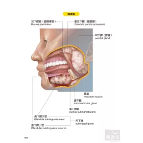 博客來 人體解剖生理學速查事典 醫護人員實用夥伴 個人最佳通識讀物