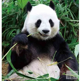 博客來 動物小百科