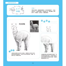 博客來 素描的動物世界