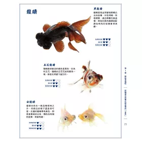 博客來 缽盆金魚飼養法 看見金魚最美的姿態