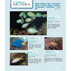 博客來 給新手的海水魚飼養指南