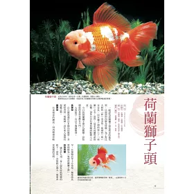 博客來 給新手的金魚鑑賞ｘ飼養指南