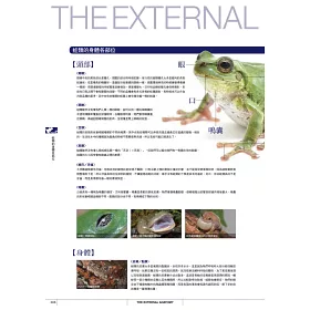 博客來 蛙類超圖鑑 品種 特徵 飼育知識統統告訴你