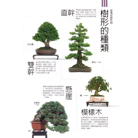 博客來 圖解盆栽技法