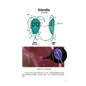 博客來 蟲蟲危機 你需要知道的寄生蟲 節肢動物圖鑑及其疾病與預防