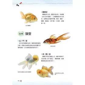 博客來 金魚事典 從認識 飼養到觀賞 寵物金魚的綺麗圖鑑
