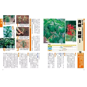 博客來 新手種菜100招 自己種出70種家常菜