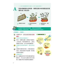 博客來 神解 一點就通 中學理科拿高分 中小學生必備 了解 關鍵知識 就能記住不忘 輕鬆攻略生物 化學 物理 地科 激發科學好潛力