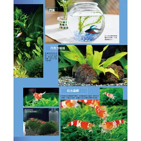 博客來 熱帶魚與水草的飼育法 暢銷版