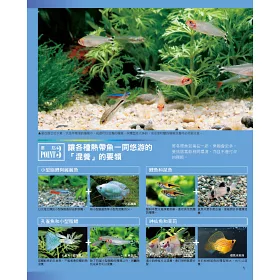 博客來 熱帶魚與水草的飼育法 暢銷版