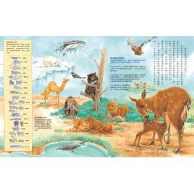 博客來 動物大集合 全新版