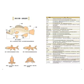 博客來 世界溫帶淡水魚圖鑑