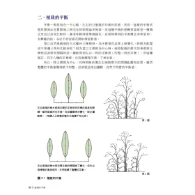 博客來 圖解日式自然風庭園 向昭和紀念公園造園名家小形研三學小庭園美學和造園手法