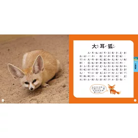 博客來 Steam圖鑑小百科 動物