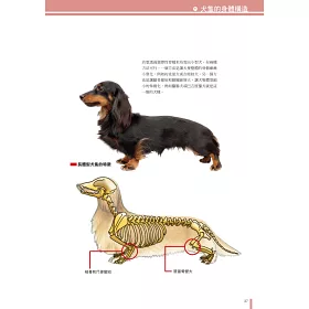 博客來 犬學大百科 圖解完整版 一看就懂 終身受用的狗狗基礎科學 二版