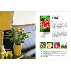 博客來 把花種漂亮的栽培密技全圖解 從選盆 施肥 修剪到繁殖 25種開花植物輕鬆種 用盆花妝點居家生活