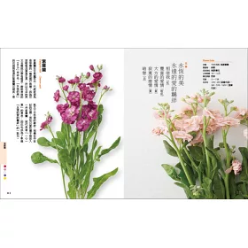 博客來 日常花事圖鑑 常見0種花卉 從選擇 知識到花語的療癒系手帖