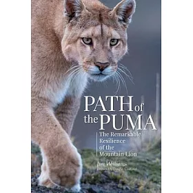 博客來 Path Of The Puma The Remarkable Resilience Of The Mountain Lion