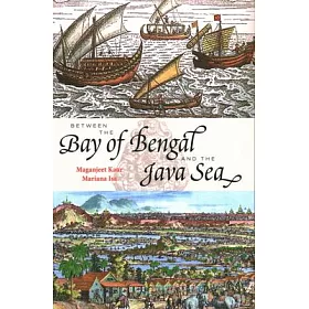 博客來 Between The Bay Of Bengal And The Java Sea Trade Routes Ancient Ports And Cultural Commonalities In Southeast Asia
