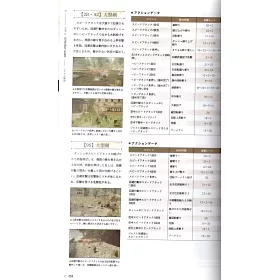 尼爾自動人形攻略 Amyaczthec