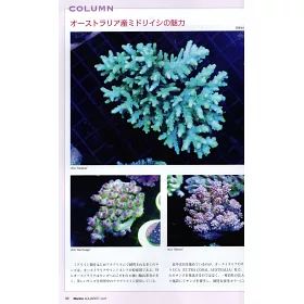 博客來 水族世界no 97 美麗珊瑚圖鑑特集