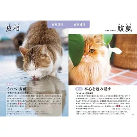 博客來 366日のにゃん言葉猫の写真と文学作品で語彙力を高める