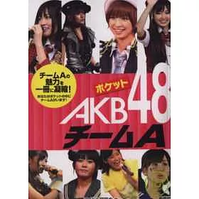 博客來 Akb48人物名鑑口袋寫真書 A Team