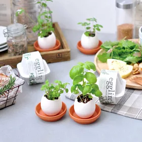 博客來 環保eco包裝 聖新陶芸eco Eggling 植物栽培蛋 薄荷