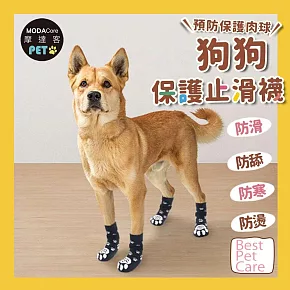 摩達客寵物-狗狗保護止滑襪 防寒防滑防舔防燙傷 可愛腳掌花紋款 三種尺寸可選 保護肉球 大狗中小型犬適用  S號